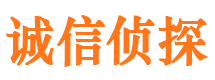 金家庄侦探